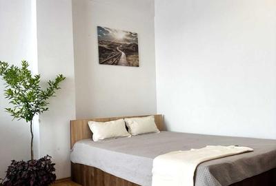 Apartament 1 camera, 43mp + 7mp balcon, zona Prof. Ioan Rus - 2