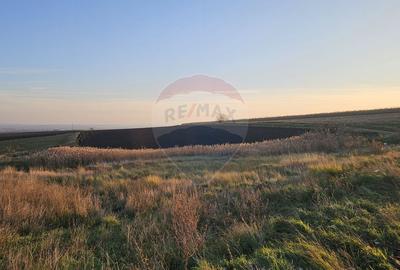 Teren extravilan 30077mp Stroiesti / Soseaua DN17, Suceava - 9