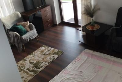 Vila Valea Adinca  cod 156481 - 12