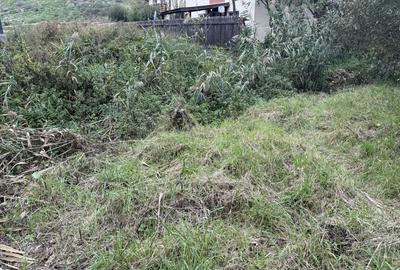 Teren intravilan 890mp in Chinteni – zona centrala, strada principala - 4