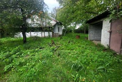 Teren Butimanu - 3700 mp-deschidere lac - 2