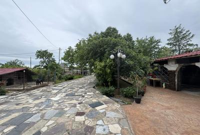 Vila P+1, supraf. desf. 510 mp., teren 1000 mp, Radomiresti - 3