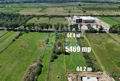 Teren intravilan - 5.469 mp, cu deschidere 44.4 m la DN1C - Cicârlău, Maramu - 6