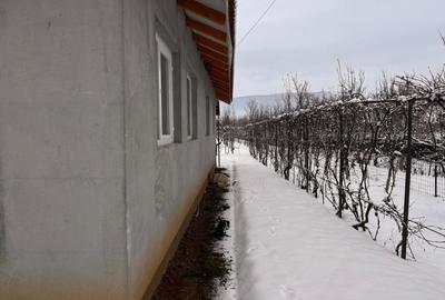 Casa Individuala Arcalia 15km de Bistrita - 7