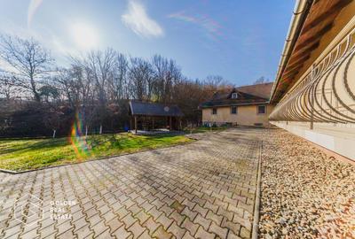 Proprietate pretabila pentru afacere, Cladova - 37
