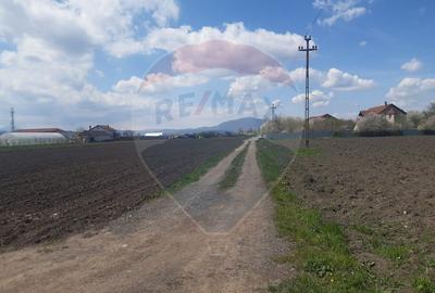 Teren 5460mp Brasov-Stupini / Strada Plaiului - 7