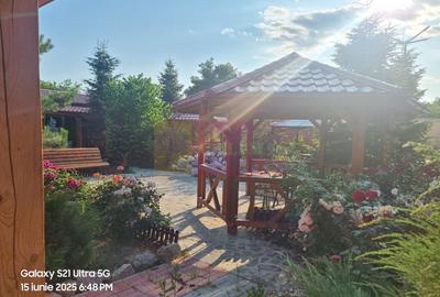 VANZARE CASA OASPETI + ANEXE IN  SAT TEISORI (JUD. GIURGIU) - 29