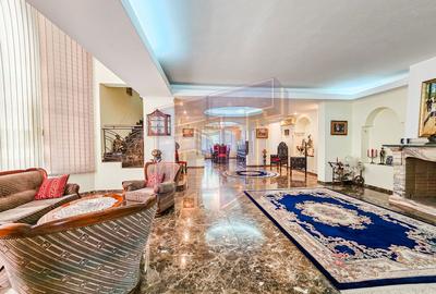 Vanzare casă/vila care refuză trecerea timpului - Zona Capitale - 2