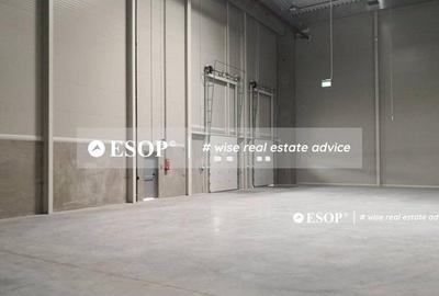 WDP Industrial Park Stefanesti, spatii industriale, 5.000 - 53.000mp - 6