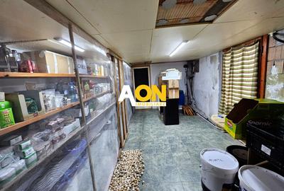 Casa multifunctionala, 6 camere , 700 mp teren, cu utilitati, Ciugud - 22