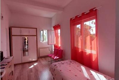 PRET REDUS!!! Casa cu 4 dormitoare in Sofronea - 12