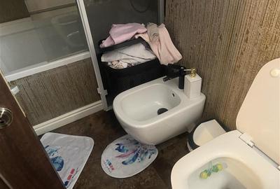 Apartament 4 camere , zona ultracentrala , suprafata de 100 mp , renovat  modern - 21