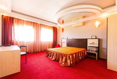 Dumbrăvița, la intrare – casă exclusivistă ideală locuință sau birou - 9