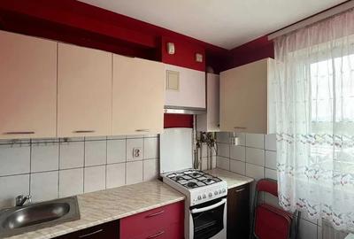 Apartament 2 Camere Bartolomeu - 4