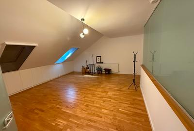 Vila premium - Matei Millo Pipera - 8