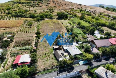 Casa cu teren in Telita - 3549MP - zona foarte frumoasa - 1