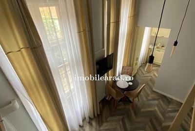 Apartament 60 Euro pe zi, amenajat in stil unic langa Primaria Arad - 15
