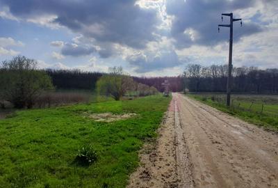 DE VANZARE TEREN 3400 MP IN SAT PODU ILFOVAT / COM BUTURUGENI (GR) - 12
