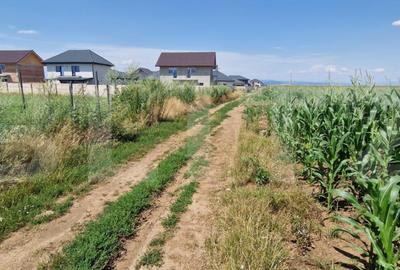 Teren Construcții extravilan de 10900 mp, în Florilor