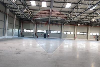 Spațiu industrial Clasa A - Otopeni Hala productie depozitare - 3