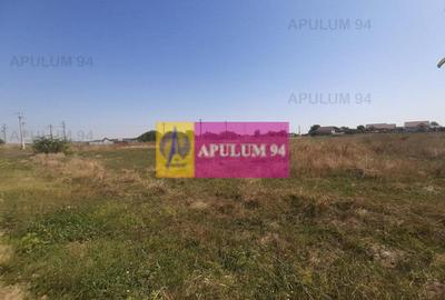 Teren Construcții intravilan de 1730 mp, în 1 Decembrie