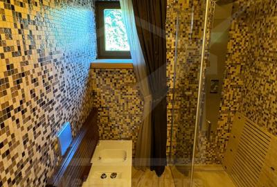 Vila superba in Andrei Muresanu, dotari de lux, piscina si SPA, 865 mp teren ! - 44