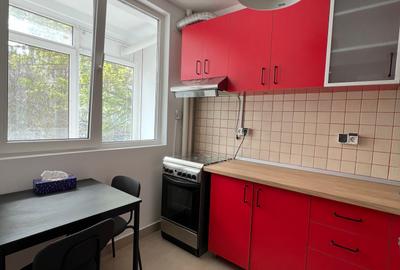 Inchiriere apartament 2 camere Ion Mihalache - 8