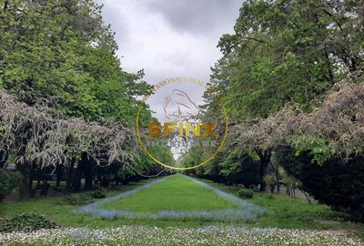 Parc Cismigiu, vanzare apartament 4 camere in vila interbelica - 35