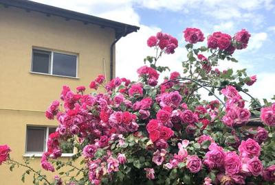 Garsonieră decomandată, mobilată în Theodor Pallady