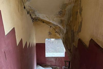 VILA INDIVIDUALA CISMIGIU | INTR. TEMISANA - 16