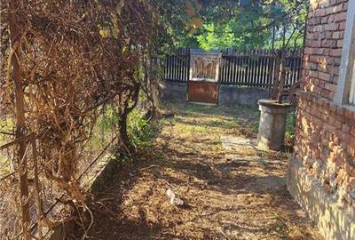 Casa cu teren 3579mp in com. Cascioarele, Jud. Giurgiu - 2