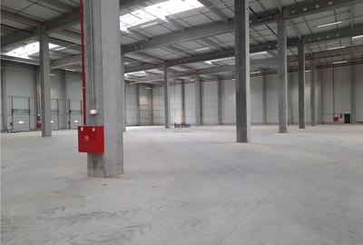 Spatii Industriale - 936 mp - Productie - Depozitare - Distributie - E-commerce - 16