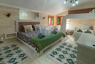 Casa de vacanta superba in Crivaia - 4