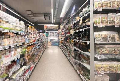 Birou, 126 mp în Universitate