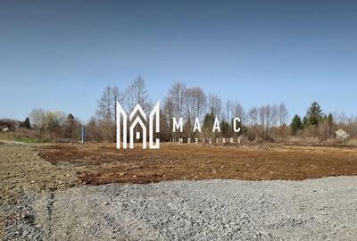 TEREN INTRAVILAN 4007 MP I VALEA AVRIGULUI - 1