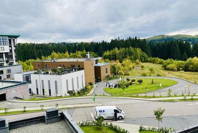 Apartament cochet si luminos SILVER MOUNTAIN Poiana Brasov - 17