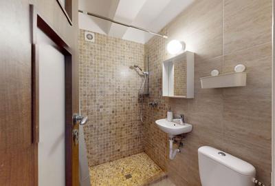 Apartament 4 camere + curte proprie Locatie excelenta – Brancoveanu - 47