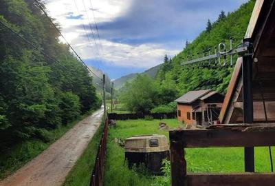 De vanzare casa de vacanta in Apata  ! - 1