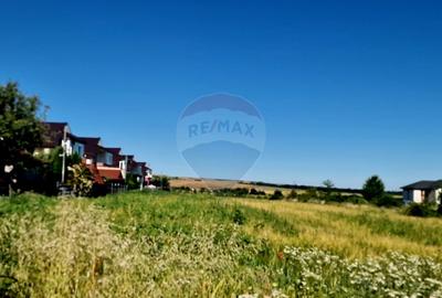 Teren intravilan Piatra Neamt - 5