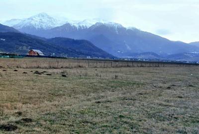 TEREN 1049 mp - INTRAVILAN DE CONSTRUCTII - 1