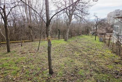 CASA 4 CAMERE 110 MP TEREN  1723 MP   DONATH GRIGORESCU - 28