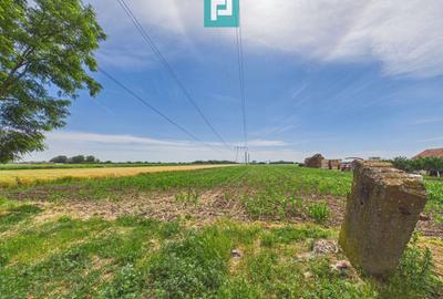 Teren extravilan 5000 mp, Arad - 7
