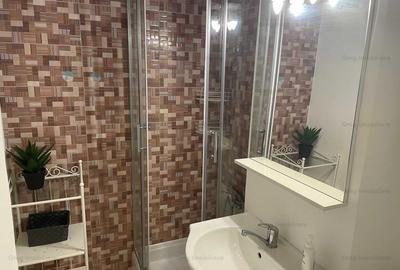 Garsoniera zona Tei-Stefan cel Mare - 9