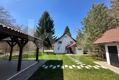 Vila de poveste din Valea Avrigului de vanzare - 4