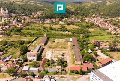 Spațiu industrial cu Teren 13.072 mp în Lipova - 7