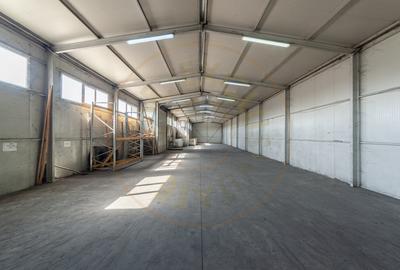 Hale & Birouri Mărăcineni - 1.294 mp - Deschidere la DN - 2