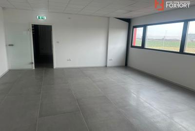 Hala industriala 500 mp + birouri, 1398 mp teren, acces TIR - Giarmata Vii - 6