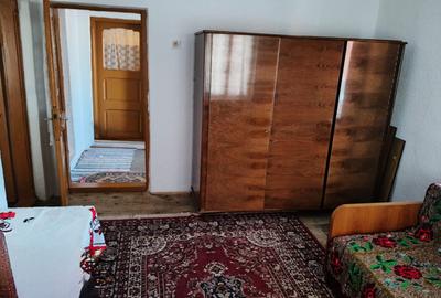 Proprietate rară – 2 case + livadă, vie și teren generos, la 20 km de Târgu Jiu - 14