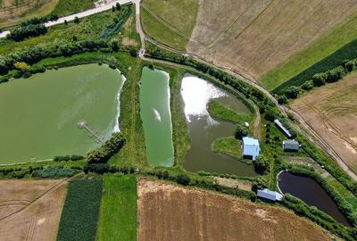 Proprietate spectaculoasă de 31.500 mp, cu iazuri și case locuibile - 6