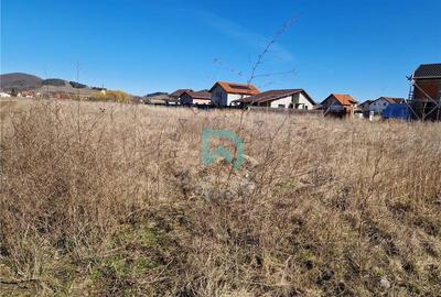 Teren intravilan de vanzare, Sanpetru, 700 mp. - 7